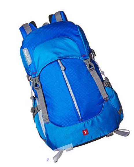 AmazonBasics Hiker Camera and Laptop Backpack - Blue